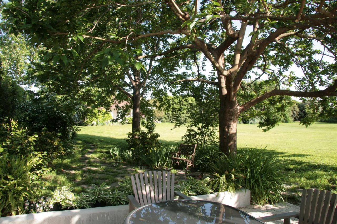 Pietrasanta - Versilia - Villa Arzilla Garden Con Piscina Tonfano Exteriör bild
