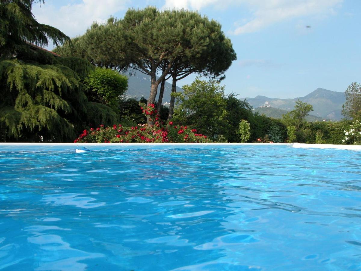 Pietrasanta - Versilia - Villa Arzilla Garden Con Piscina Tonfano Exteriör bild