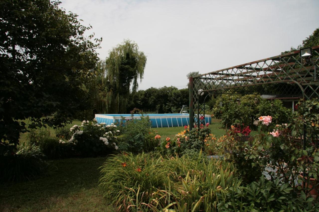 Pietrasanta - Versilia - Villa Arzilla Garden Con Piscina Tonfano Exteriör bild