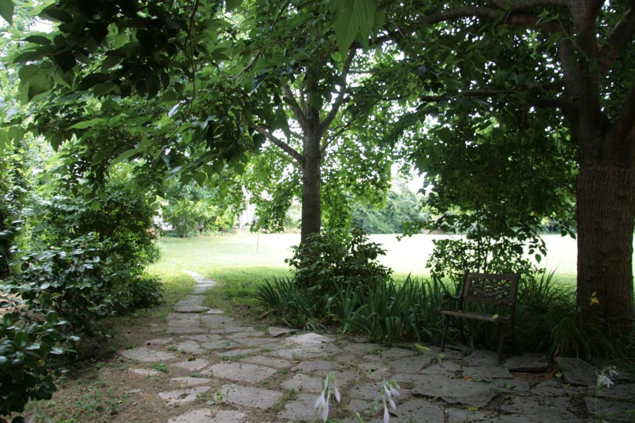 Pietrasanta - Versilia - Villa Arzilla Garden Con Piscina Tonfano Exteriör bild