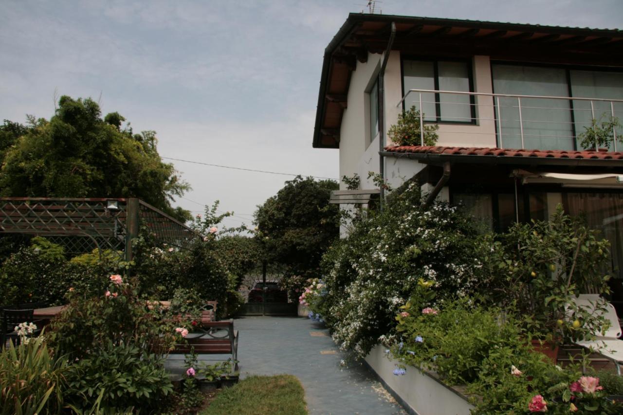 Pietrasanta - Versilia - Villa Arzilla Garden Con Piscina Tonfano Exteriör bild